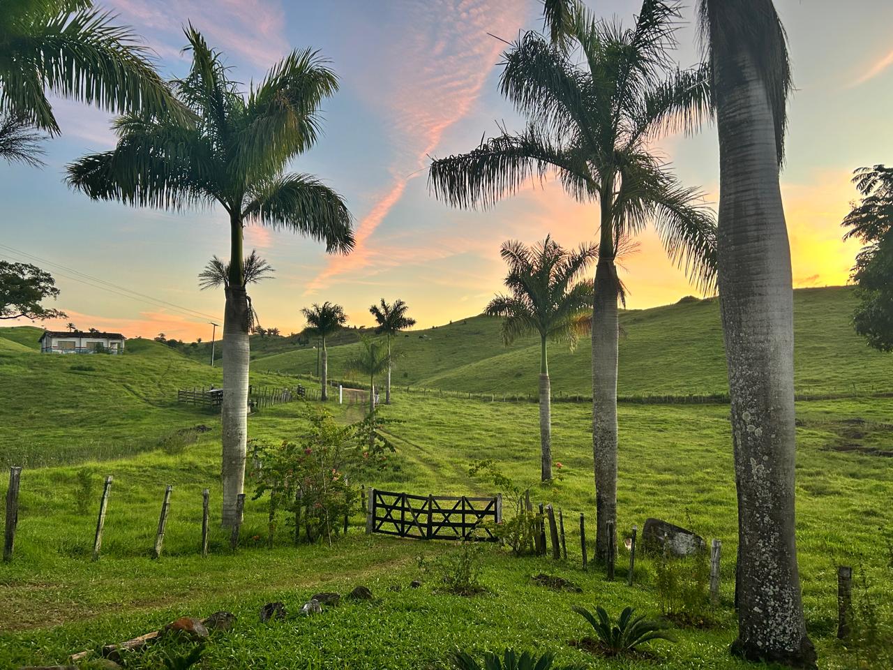 Fazenda Vila Formosa ao pôr do sol, em Floresta Azul, Sul da Bahia